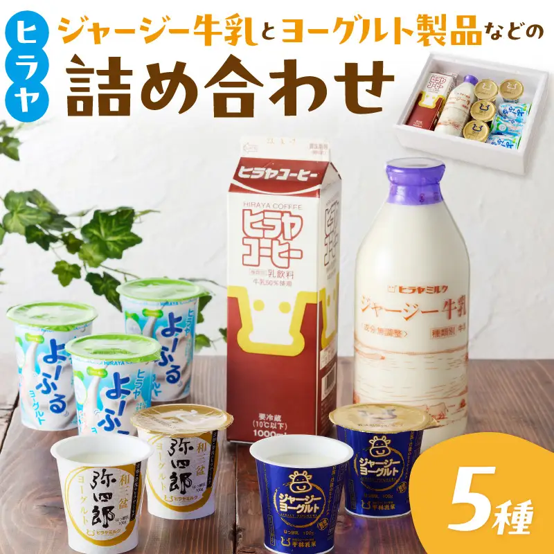 【定期便 月1回×３】牛乳やヨーグルトなど 平林乳業5種セット ヨーグルト牛乳