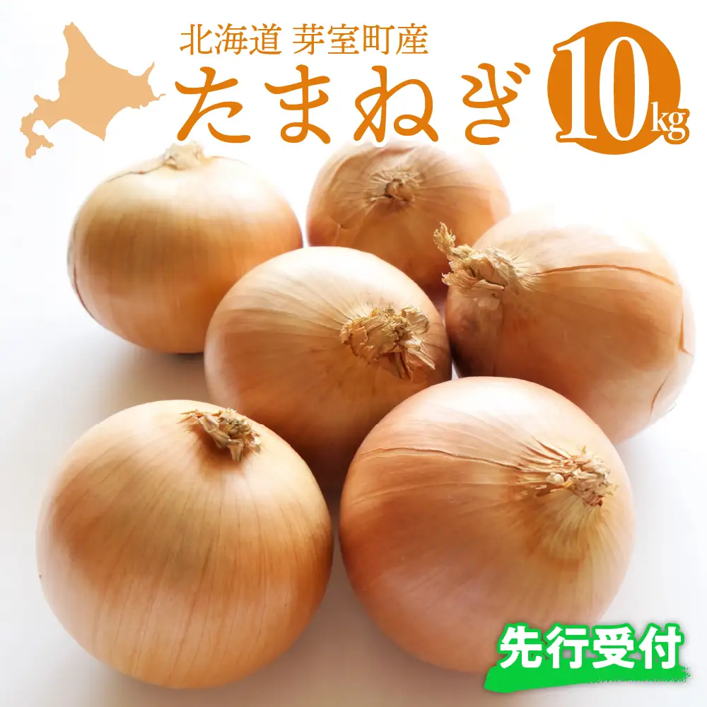 【先行受付】【2026年10月より配送予定】北海道 十勝 芽室産 たまねぎ 10kg 1箱 玉ねぎ 玉葱 タマネギ オニオン 野菜 ベジタブル 産地直送 新鮮 送料無料 お取り寄せ 10キロ 大容量 北海道産 道産 国産 芽室 めむろ 芽室町me002-023-26c