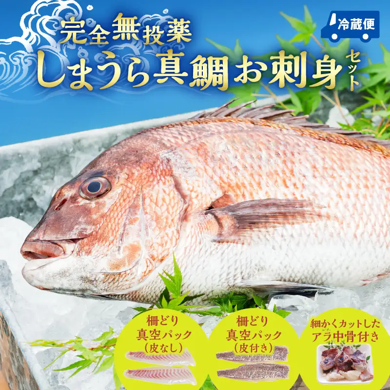 【完全無投薬】しまうら真鯛お刺身セット 魚 刺身 魚介