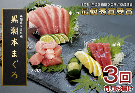 【3回お届け】黒潮本マグロ 3種堪能セット