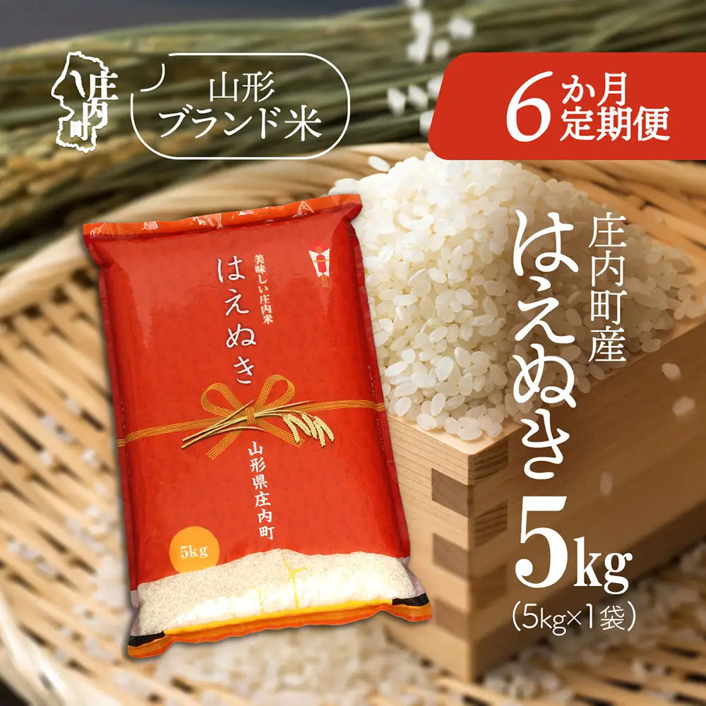 【6か月定期便】庄内米 はえぬき 5kg 毎月 5kg×1袋 令和7年産 / 令和8年産 余目産 あまるめ ブランド米 米 山形 庄内平野 亀の尾発祥の地 庄内 お米の定期便【7月中旬発送/入金期限：2026年6月25日】