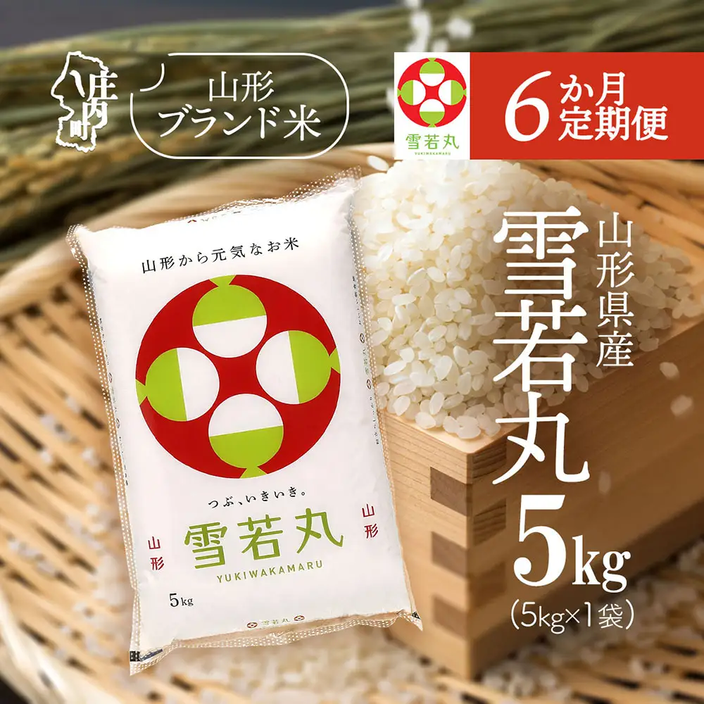 【6か月定期便】特A 山形米 雪若丸 5kg 毎月 5kg×1袋 令和7年産 / 令和8年産 ブランド米 米 山形 庄内平野 定期【7月中旬発送/入金期限：2026年6月25日】