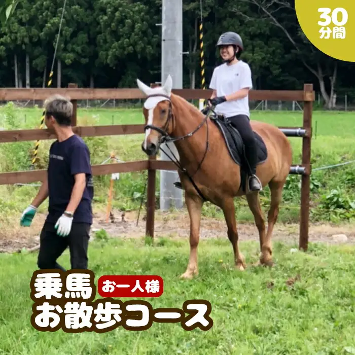 乗馬お散歩コース お一人様 30分間 ｜ 乗馬 福島県 南相馬市