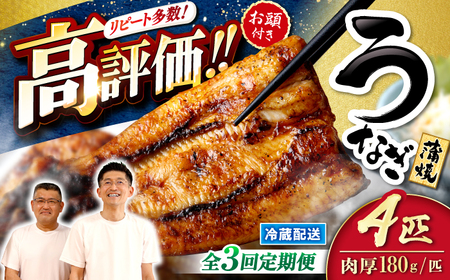 3回定期便 国産 うなぎ 4尾 CCA023 海鮮 鰻 うなぎ 贈答 ギフト ウナギ