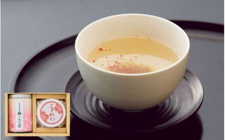 梅こんぶ茶と梅干のセット（梅こんぶ茶85g・うすじお味梅135g） / 紀州南高梅 うす塩 乾燥梅 昆布 お茶 贈答品 化粧箱 和歌山 田辺市 【umk009】