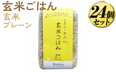 米農家の無添加 玄米ごはん 玄米プレーン 24個セット   | 米 玄米 パックご飯 _BI80