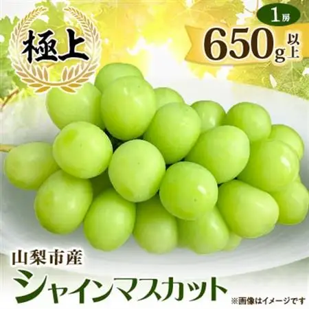 【2026年発送】山梨市産シャインマスカット(極上)1房(650g以上)【配送不可地域：離島】【1478957】