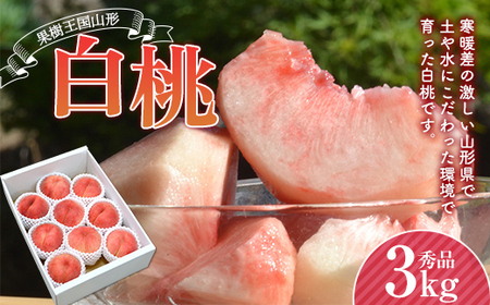 《先行予約 2026年度発送》山形県産 白桃 秀品 3kg もも モモ 桃 デザート フルーツ 果物 くだもの 果実 食品 山形県 FSY-2202