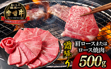 宮崎牛霜降り 肩ロースまたはロース 焼肉500g 宮崎牛 牛肉 肉 ブランド牛 国産牛 和牛 霜降り 肩ロース ロース 焼肉 BBQ 贈答用 贈答 ギフト 贈り物 グルメ 記念日 誕生日 内祝い お取り寄せ 内閣総理大臣賞 ミヤチク ホームパーティー お祝い 料理 キャンプ _Tk031-014