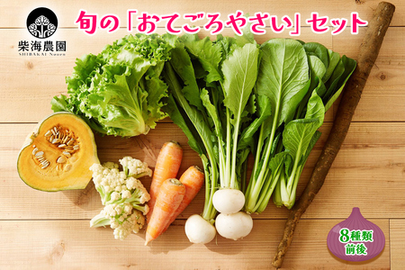 柴海農園 旬の「おてごろやさい」セット (8種類前後) [0225]