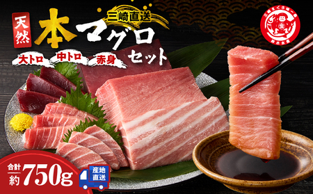 三崎マグロ 鈴木水産 天然本マグロ （ 大トロ ・ 中トロ 赤身 ） セット M105-002 冷凍 マグロ