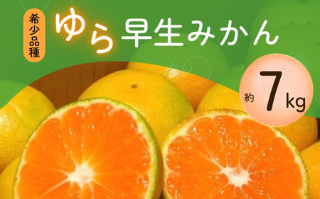 ＼光センサー選別／＼農家直送／甘くて濃厚！希少品種 ご家庭用 ゆら早生みかん約7kg　サイズ混合【10月上旬より発送】希少品種《有機質肥料100％》 ※2026年10月上旬より順次発送予定【nuk002F】
