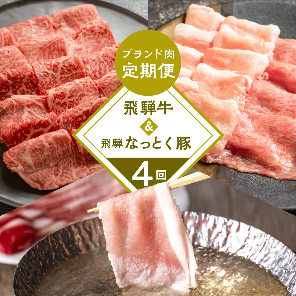 【定期便 4回】 飛騨牛 ＆ なっとく豚 定期便 4回 牛肉 / 豚肉 食べ比べ (焼肉 / すき焼き / しゃぶしゃぶ / 豚しゃぶ) 【tc1】