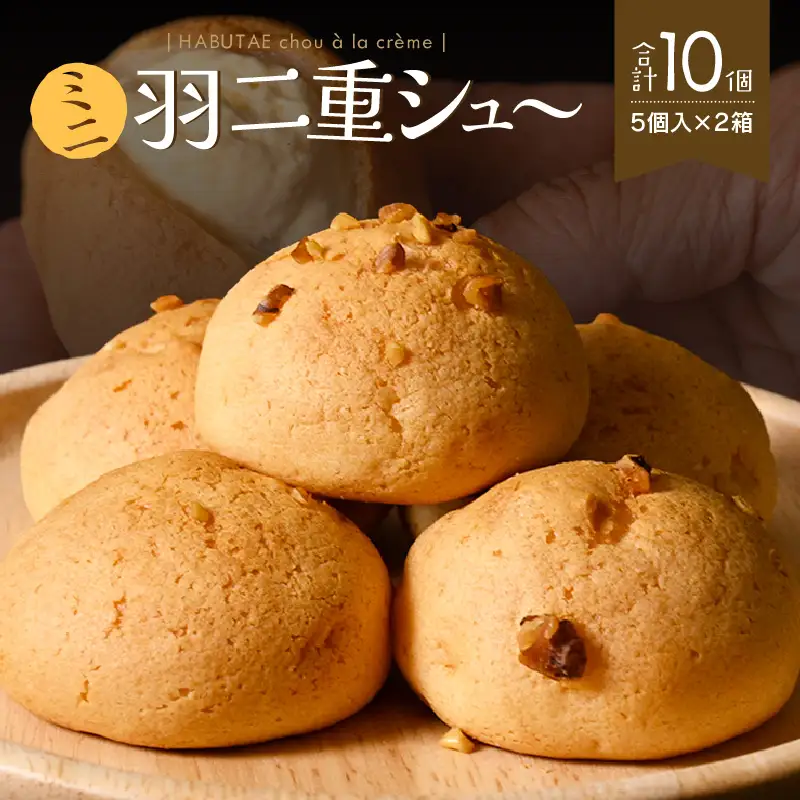 福井の銘菓を洋菓子で味わう 「ミニ羽二重シュー」 5個入り × 2箱セット [A-08202]