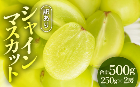 【先行予約】【訳あり】シャインマスカット 約250g×2房 【2026年8月中旬以降順次発送予定】[A-3229]