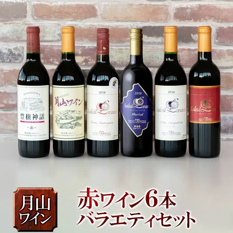 月山ワイン　赤ワイン６本　お楽しみセット　E16-201