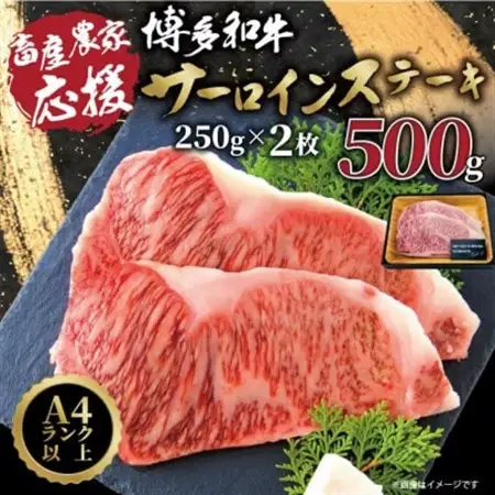 【A4～A5】博多和牛サーロインステーキ【厳選部位】(250g×2枚)_肉 ステーキ 牛肉 ビーフステーキ_【配送不可地域：離島】【1168509】
