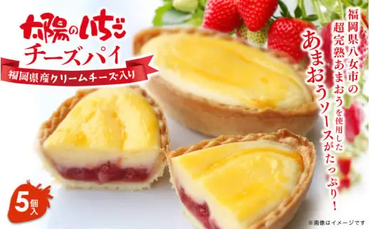 超完熟あまおう使用！太陽のいちごチーズパイ 5個入 134-003
