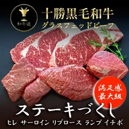 十勝姫 ステーキづくし 5種セット 国産 黒毛和牛 グラスフェッドビーフ_肉 ステーキ 牛肉 ビーフステーキ  肉 黒毛和牛 牛肉 _【配送不可地域：離島】【1479917】