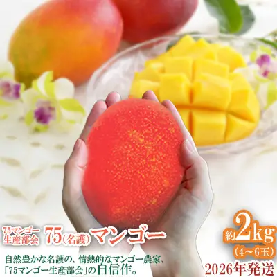 2026年発送【75マンゴー生産部会】 75（名護）マンゴー 約2kg