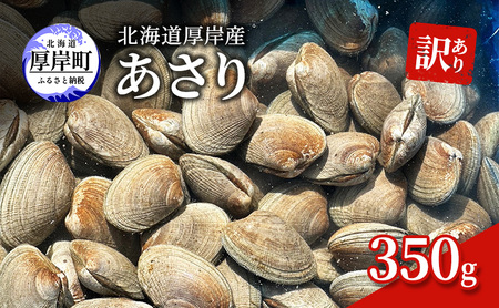 北海道 厚岸産 砂抜き済み あさり350g【光輝】 [ 海産物 海の幸 味が濃い 貝類 貝 みそ汁 酒蒸し アサリバター 食材 食べ物 パスタ ] 