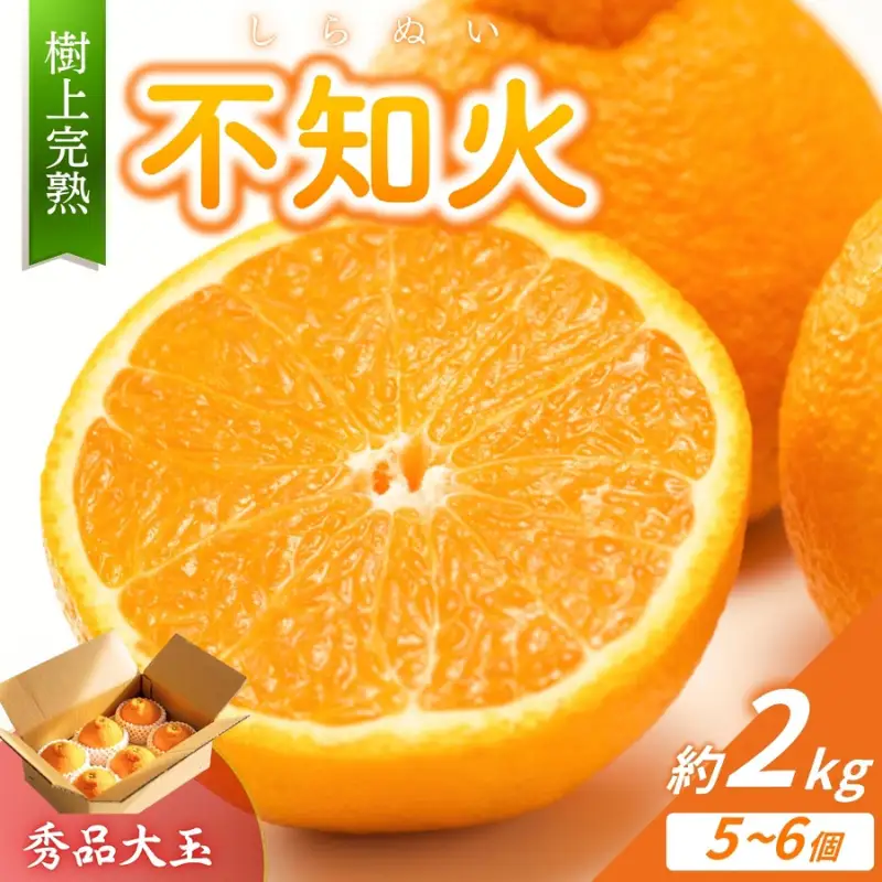 不知火 希少な樹上完熟！ 秀品大玉 6個入 (約2kg)　【2027年2月下旬頃～3月下旬頃まで発送】【BH002-kiy001A】