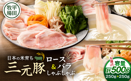 日本の米育ち平田牧場 三元豚ロース・バラしゃぶしゃぶ　各250g（計500g）　T036-007 肉 豚肉