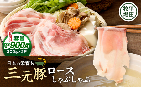 日本の米育ち平田牧場 三元豚ロースしゃぶしゃぶ 300g×3パック（計900g）　T036-008 肉 豚肉