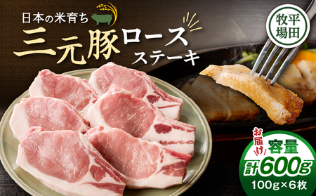 日本の米育ち平田牧場 三元豚ロースステーキ 100g×6枚（計600g）　T036-012 肉 豚肉