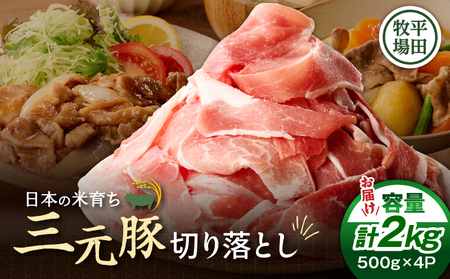 日本の米育ち平田牧場 三元豚切り落とし 500g×4パック（計2kg）　T036-005 肉 豚肉