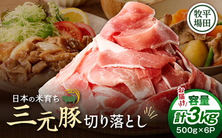 日本の米育ち平田牧場 三元豚切り落とし 500g×6パック（計3kg）　T036-006 肉 豚肉
