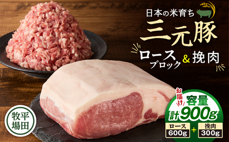 日本の米育ち平田牧場 三元豚ロースブロック（600g）・挽肉（300g）計900g　T036-009 肉 豚肉