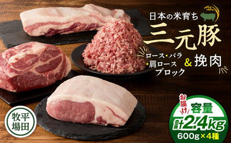 日本の米育ち平田牧場 三元豚ロースブロック・バラブロック・肩ロースブロック・挽肉　各600g（計2.4kg）　T036-011 肉 豚肉