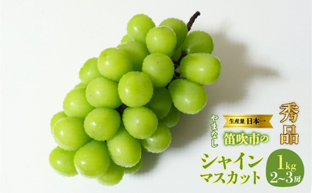 【2026年発送★先行予約】山梨県　笛吹産　シャインマスカット　1kg（2～3房）秀品 215-007-26y