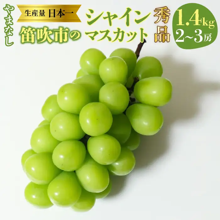 【2026年発送★先行予約】山梨県　笛吹産　シャインマスカット　1.4kg（2～3房）秀品 215-009-26y