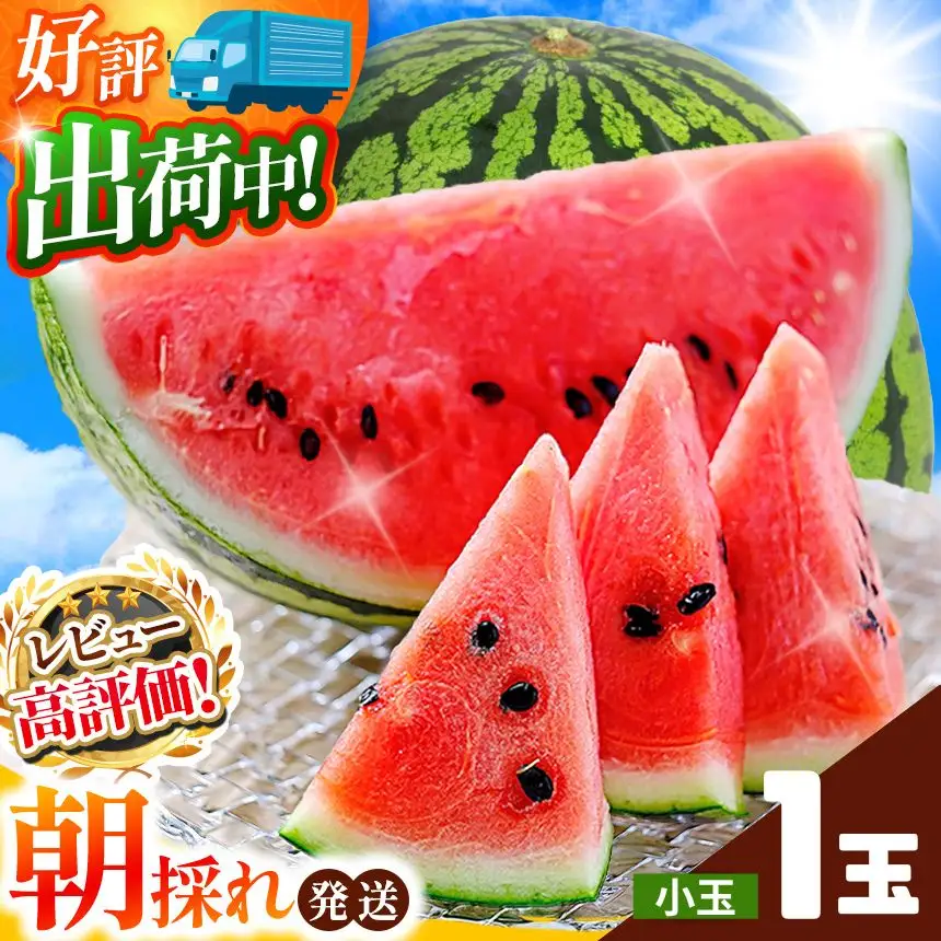 小玉 スイカ（赤色）1玉 すいか 西瓜 1玉 熊本県和水町産 【2026年（令和8年）4月中旬頃から順次出荷予定】  すいか 西瓜