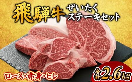 飛騨牛ぜいたくステーキセット ヒレ ロース 赤身｜国産 和牛 牛肉