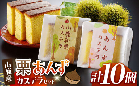 カステラセット 山鹿和栗 & あんず 計10個 【株式会社あんず】[ZBT003]