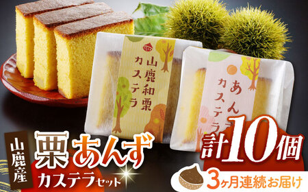 【3回定期便】カステラセット 山鹿和栗 & あんず 計10個 【株式会社あんず】[ZBT006]