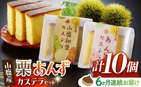 【6回定期便】カステラセット 山鹿和栗 & あんず 計10個 【株式会社あんず】[ZBT009]
