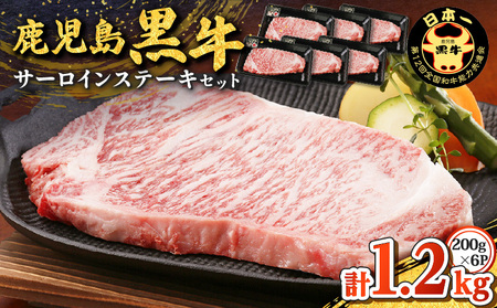 鹿児島黒牛 サーロイン ステーキ セット （計1.2kg） K127-011 肉 牛肉 冷凍