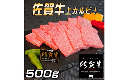 佐賀牛　上カルビセット500ｇ 161-J779