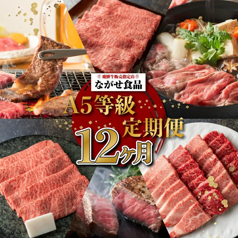 定期便 牛肉 飛騨牛食べ尽くし12回 約4.96kg 定期便 肉 FH103-CP01 FN-Limited-PR