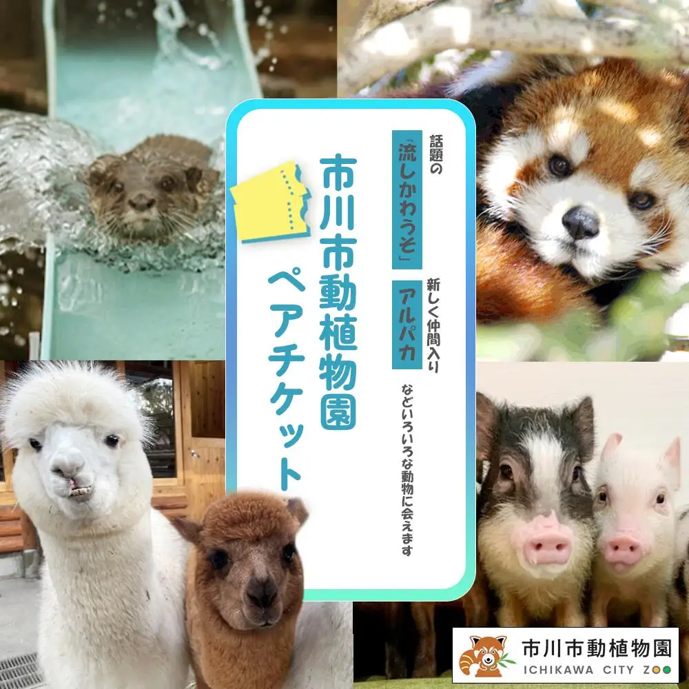 市川市動植物園ペアチケット　【12203-0195】