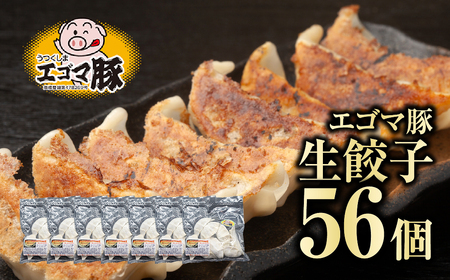 冷凍餃子 56個 (8個入×7袋) 生餃子 冷凍保存 エゴマ豚 贈福島県 田村市