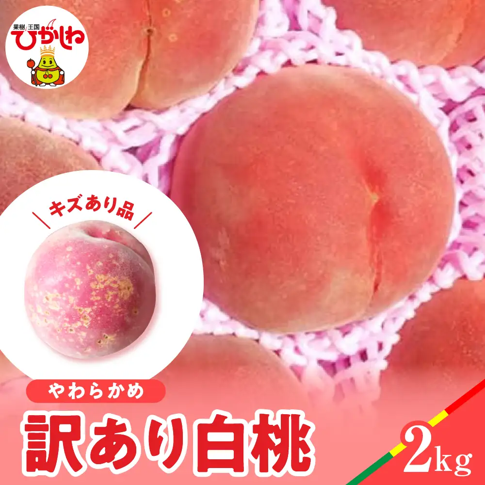 【2026年産】白桃 品種おまかせ 訳あり2kg(やわらかめ) 松栗提供 山形県 東根市　hi062-059　（山形県 東根市 東北 果物 フルーツ くだもの もも 桃 白桃 ピーチ 訳アリ 品種おまかせ 期間限定 冷蔵配送 先行受付 令和8年産 取り寄せ グルメ ご当地 特産直送 送料無料 ふるさと納税）