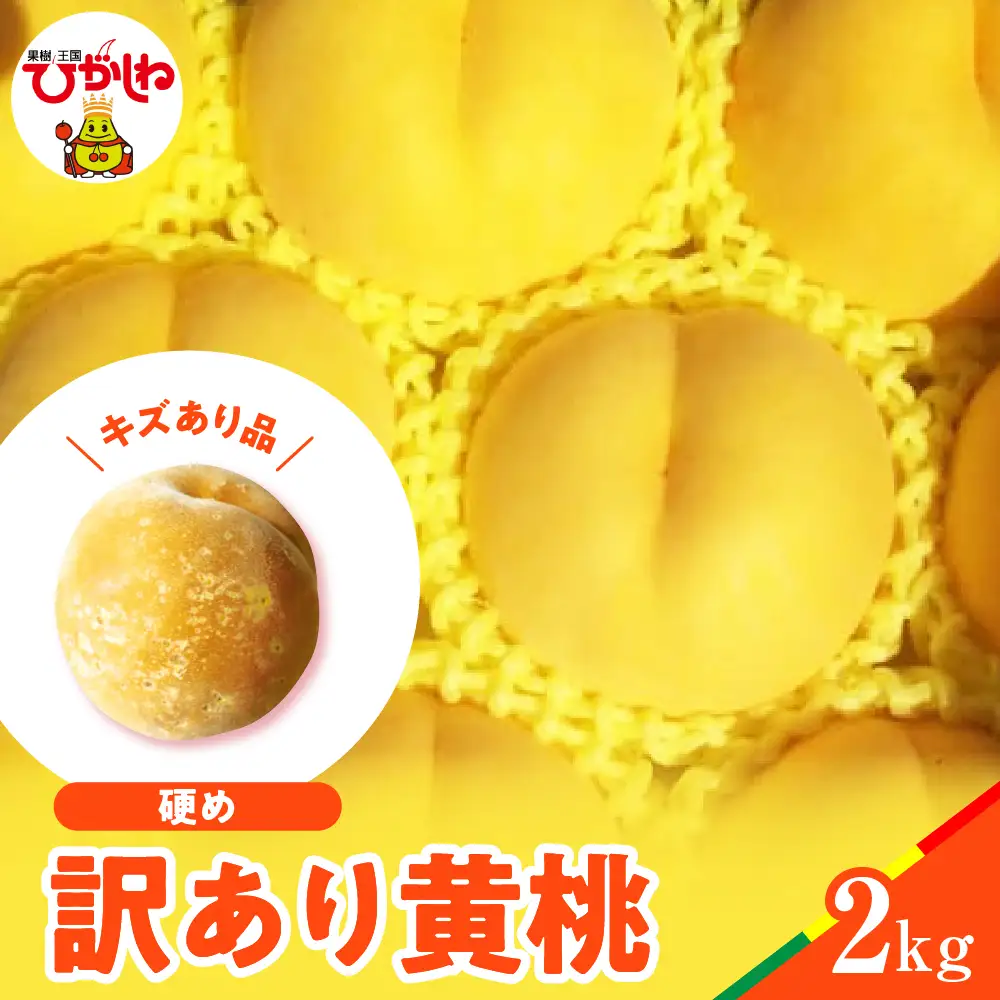 2026年産 訳あり 黄桃 ( 硬め ) 品種おまかせ 2kg 黄桃