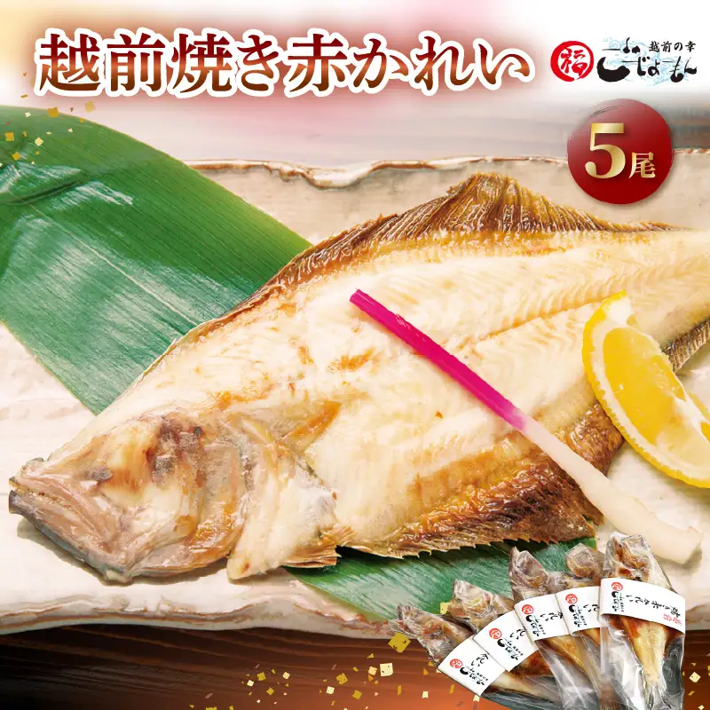 【温めるだけ！焼き調理済み】 国産干物  越前赤かれい 5尾  焼きカレイ 干物 干物 干物 干物 干物  [e15-a006]