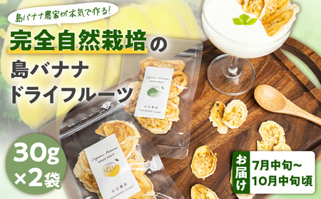 【先行受付】島バナナ農家が本気で作る完全自然栽培の島バナナドライフルーツ30g×2袋（7月中旬～10月中旬頃発送） W029-010u バナナ 加工品