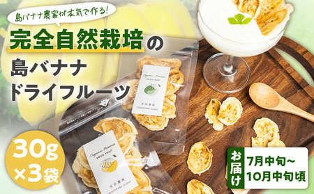 【先行受付】島バナナ農家が本気で作る完全自然栽培の島バナナドライフルーツ30g×3袋（7月中旬～10月中旬頃発送） W029-011u バナナ 加工品